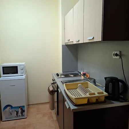 Poseidon 205 Apartment Pamporovo