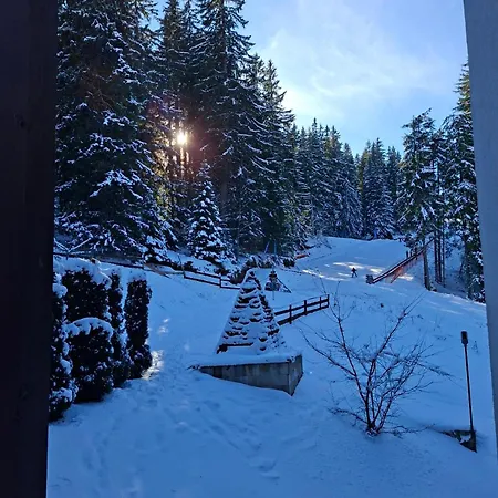 Apartment Area @ Rosea 205 @ Pamporovo