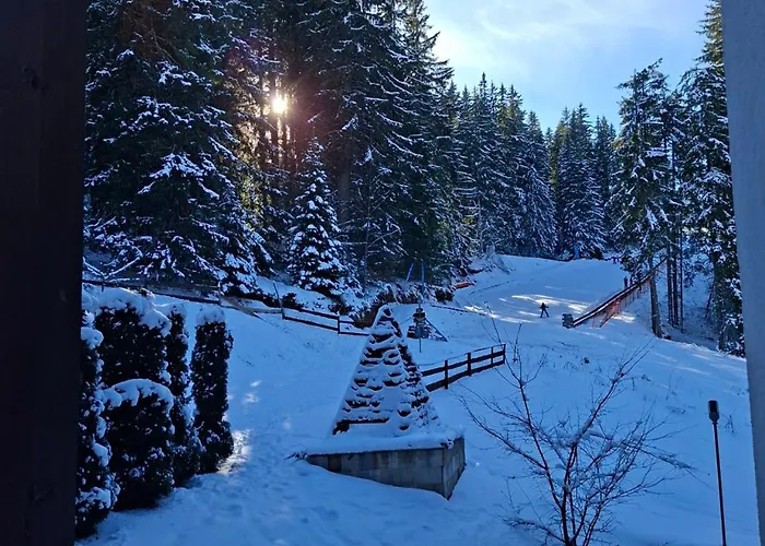 Apartment Area @ Rosea 205 @ Pamporovo